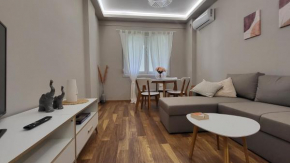 Traveller's Spot cozy apt